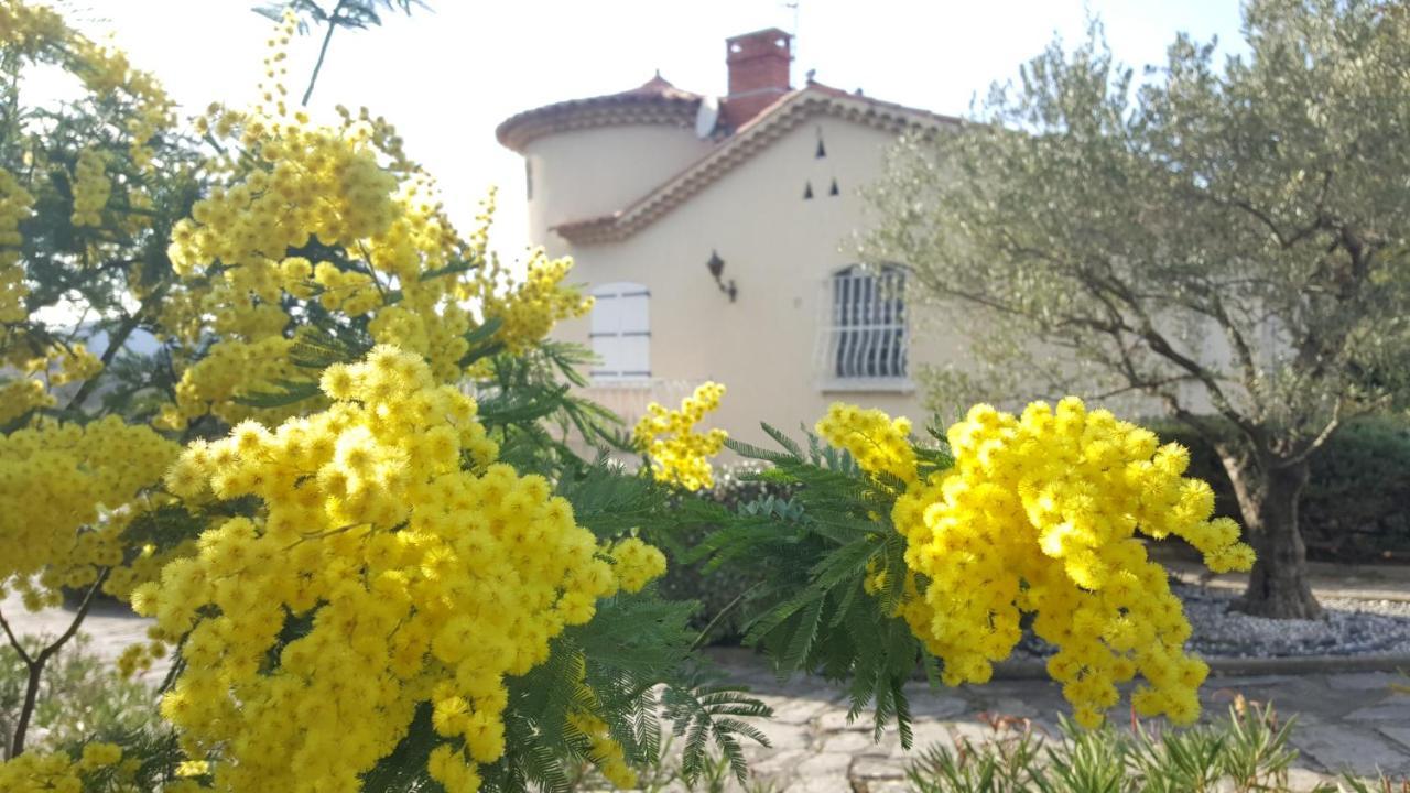 Отель Le Relais Fleuri Алес Экстерьер фото