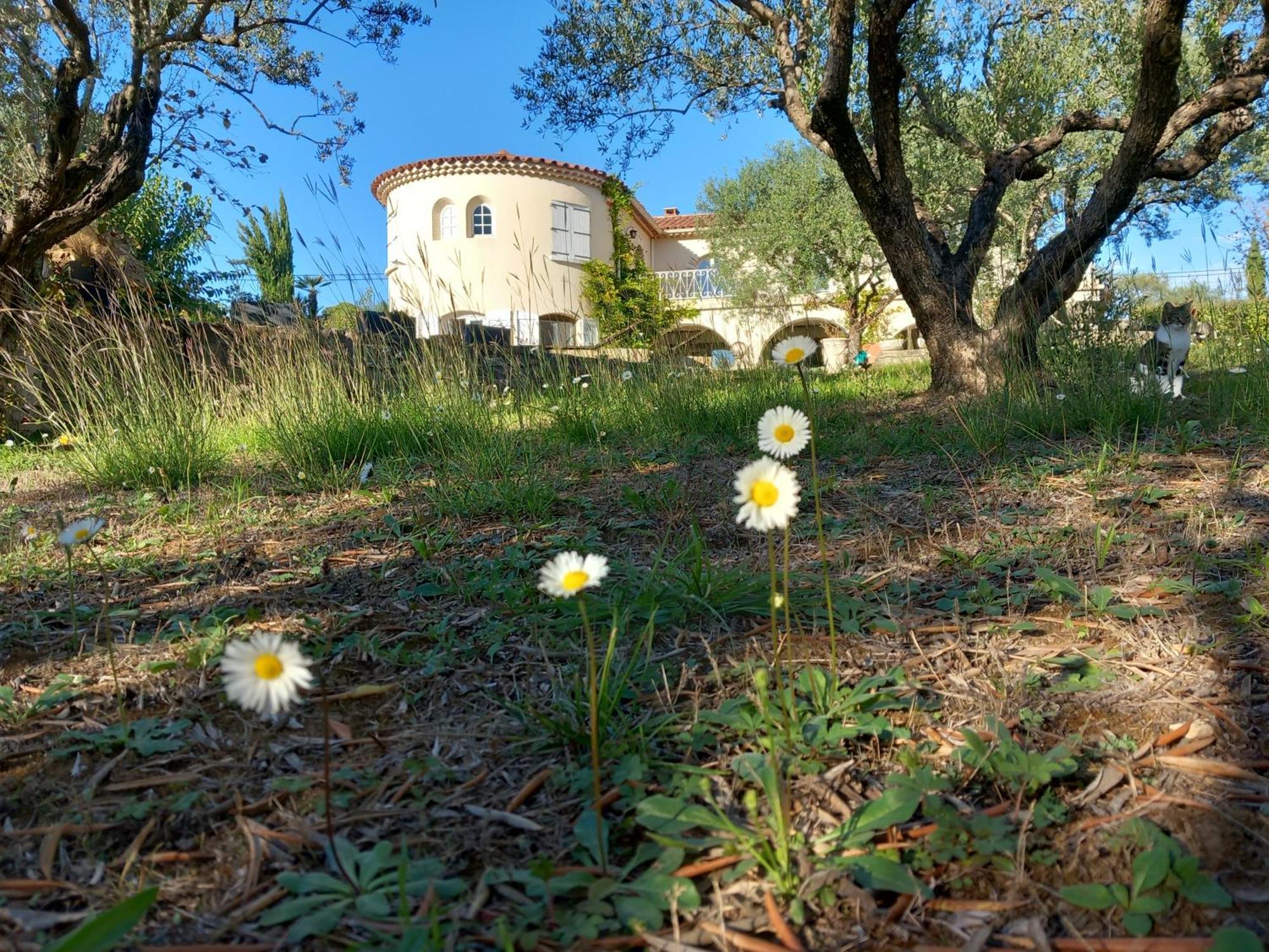 Отель Le Relais Fleuri Алес Экстерьер фото